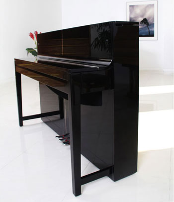 SAMICK - Ebony Neo SAMICK - Ebony Neo